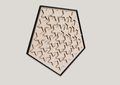 Pentagon Star Black 31 Panel