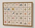 Rectangle Botanical Specimens 36 Grid